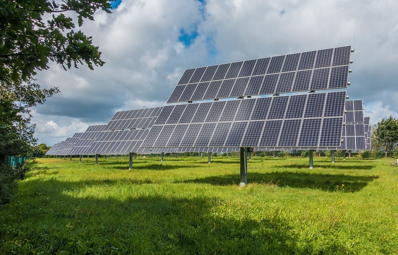 Sustainability Champions